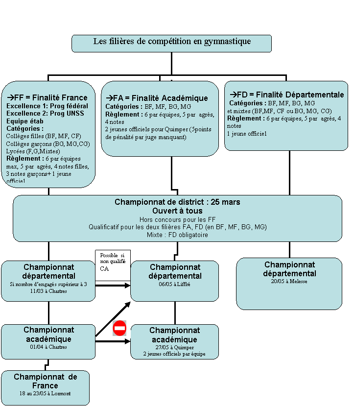 Organigramme hirarchique
